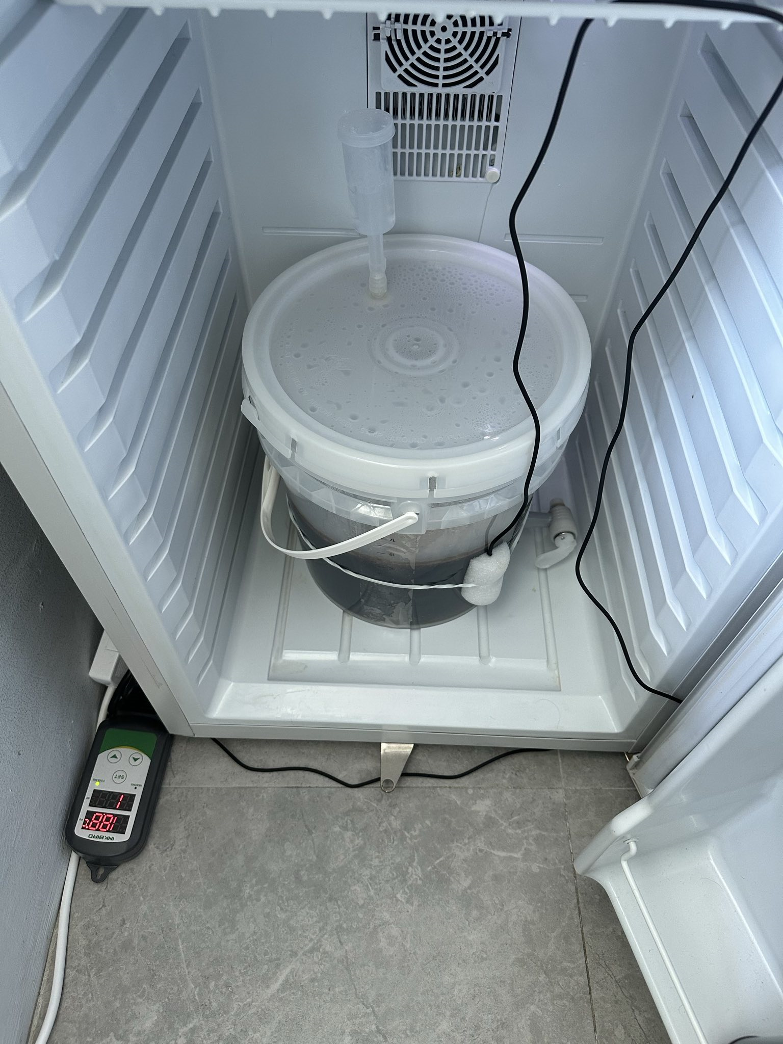 Beer in a fermenter bucket in a fridge, with a temperature controller attached